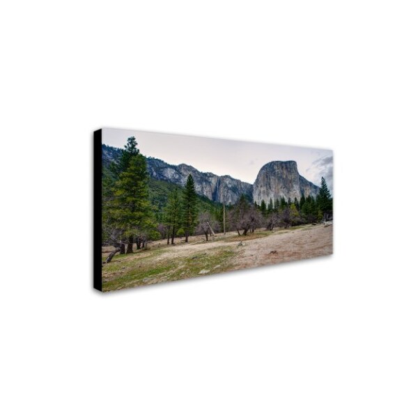 David Ayash 'Yosemite National Park - California-II' Canvas,12x24